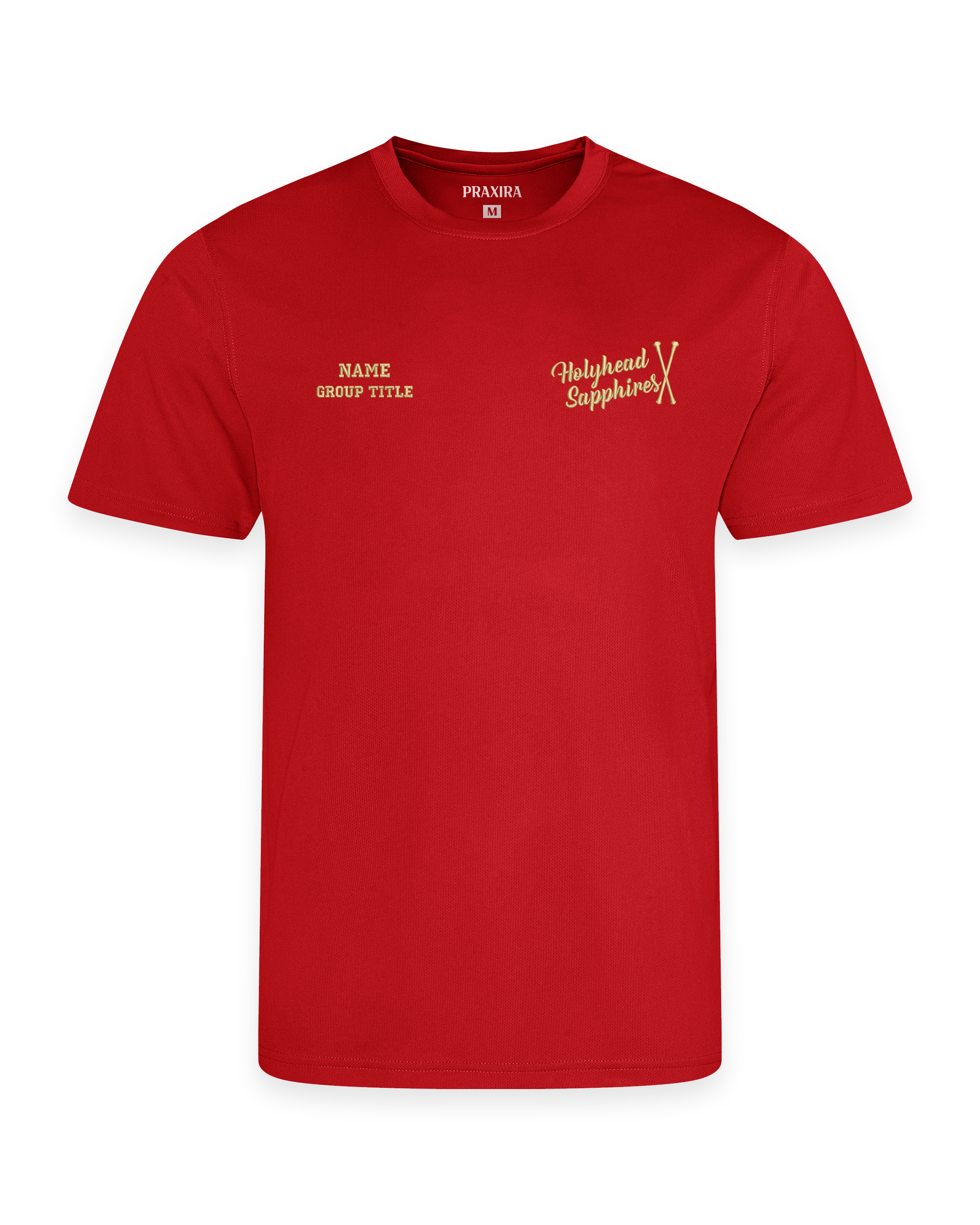 Holyhead Sapphires Red Training T-Shirt